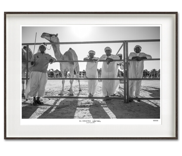 Bedouin in Fine Art Print