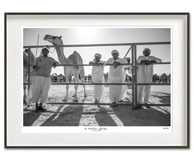 Bedouin in Fine Art Print