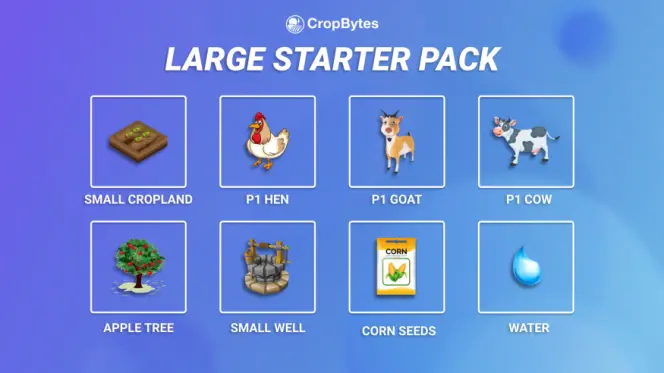 Large Starter Pack