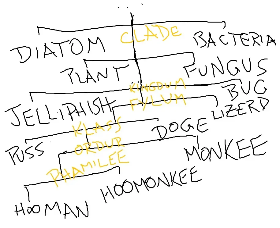 scientific