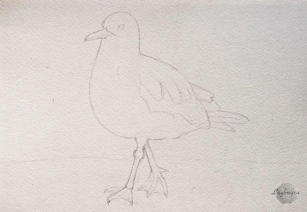 Sketch