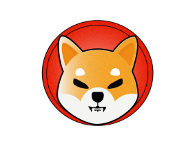 SHIB TOKEN