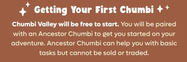 Getting Your First Chumbi