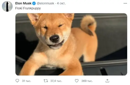 29ef491bc4f1859d2347d14134ac8ee90223e8c902fd62667cffd39797256580.jpg