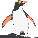 d2f62a9033db62119c3d14742d5a6e6a3bfc8a025093f529908ed9d1b35eecd9.png
