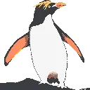 d2f62a9033db62119c3d14742d5a6e6a3bfc8a025093f529908ed9d1b35eecd9.png