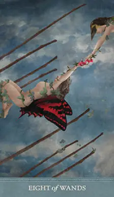 8 Of Wands Love