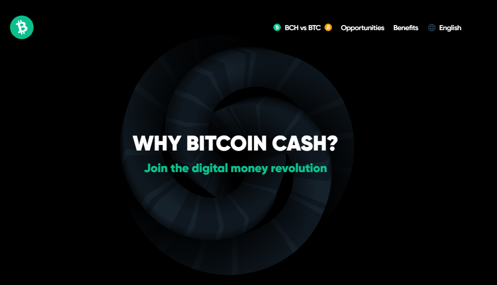 https://whybitcoincash.com/