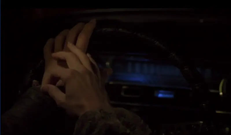 Lestat - Rock Superstar - Driving his victim to immortality