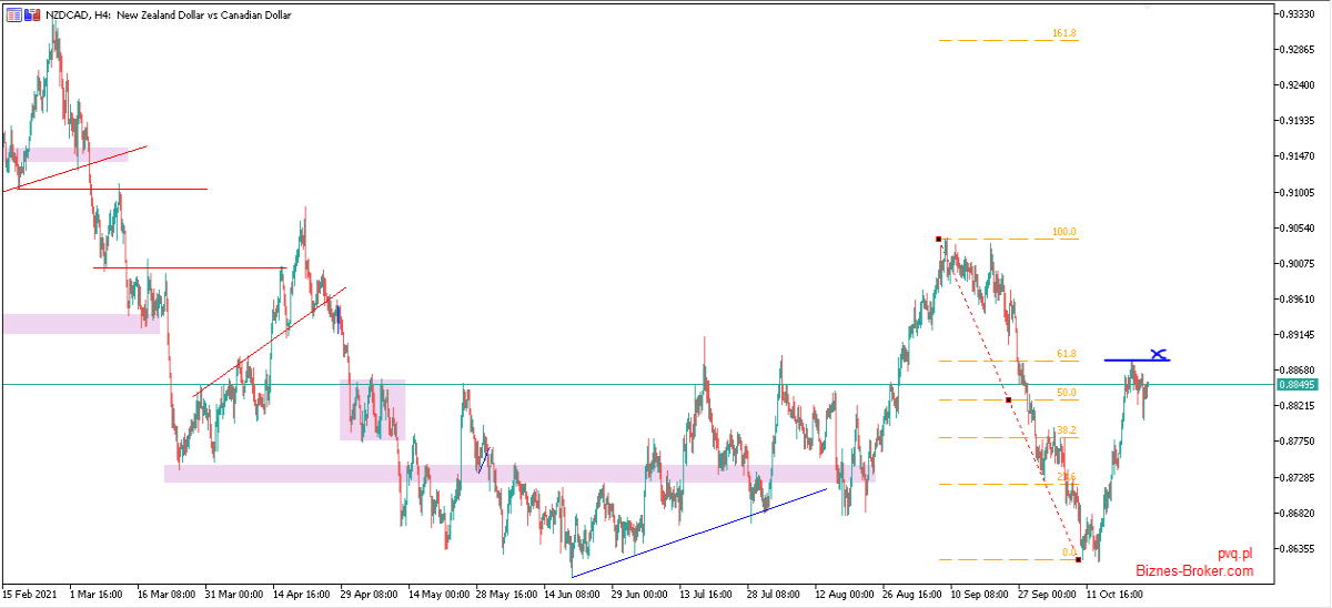 nzdcad