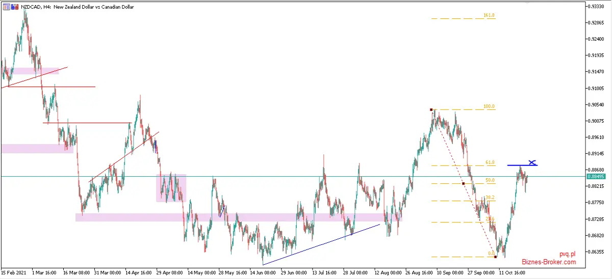 nzdcad