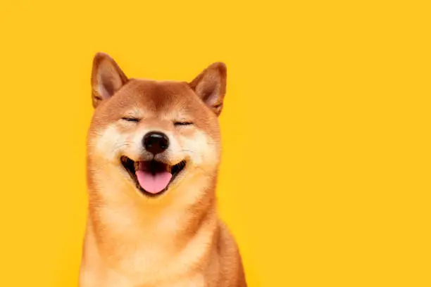 2030b40b980401e6fe1596e1dd5bf879783ed44e7eaeb7979e6806a636fb5ee1.jpg