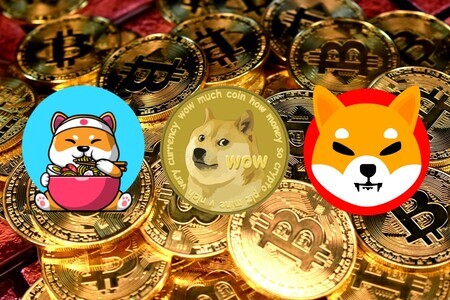 4e6af895237dd1dc557f5774d899456ee79e700c20776332ecab5751205bfb71.jpg