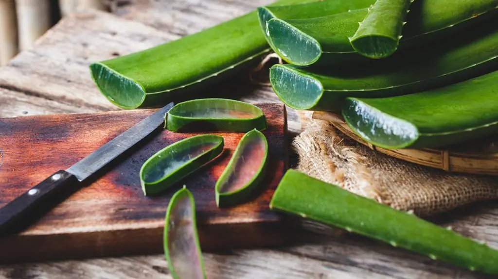 Aloe Vera slices