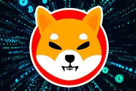 shiba