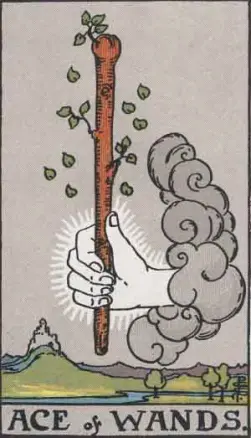 Ace Of Wands Meaning