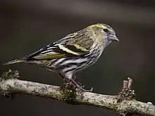 9684c3ae0ddb0742adabb1723b242c8c50599f9a0c9c89eaaf2e1556cc5c79a7.jpg