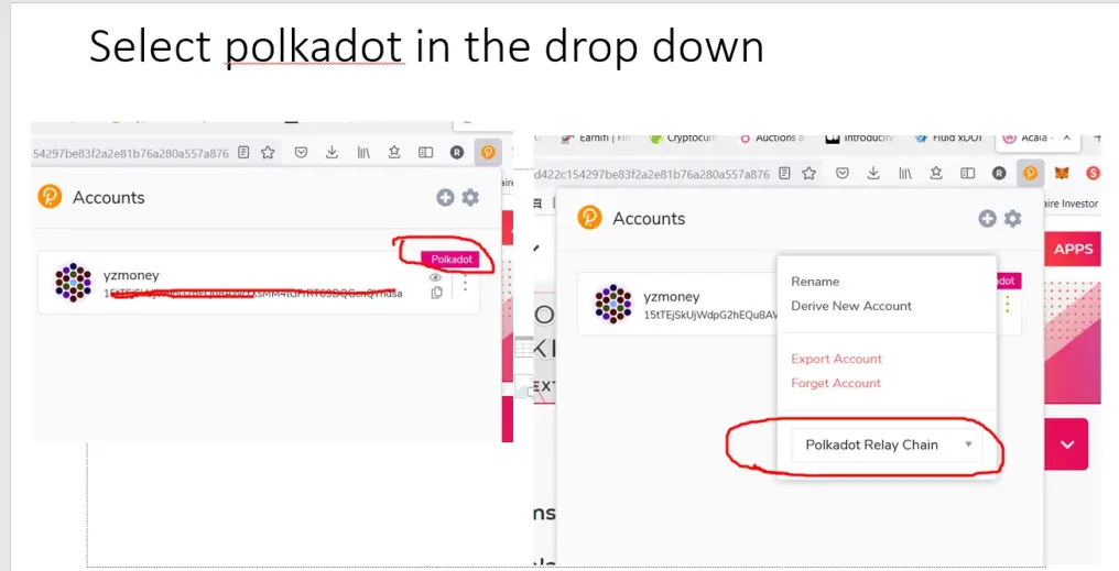 select polkadot