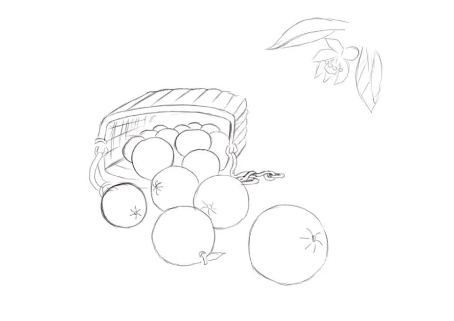 Sketch
