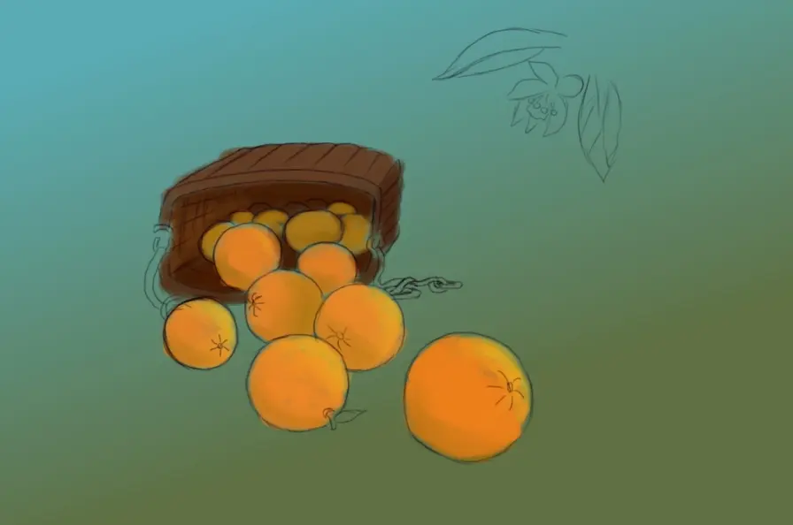 Step 2_Fruits