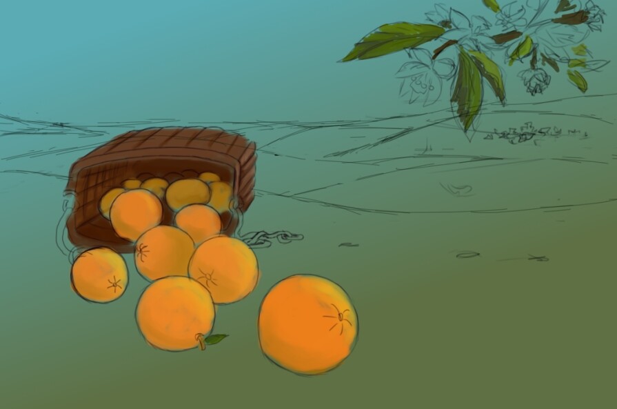 Step 3_Branch and Hills