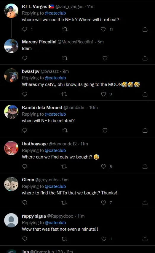 buyers are flocking to twitter to demand to see their cats!