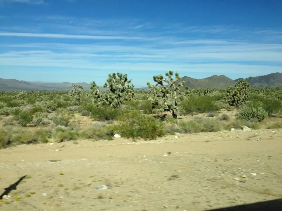 92b222414f0a3600699aa246ec6a2a8b3d302e8fef68fd1812962ffb33d2f6f2.jpg