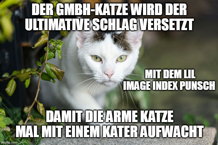 c819fa1cb382c447cd6e9411b3b71cde40255f8dc0fae0eda6bbf862509c2bc3.jpg