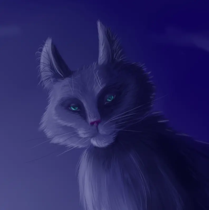 Step 5_Cat