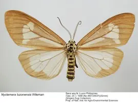 00f56cf4435e1cd8ccf0044caee3666eae278b95b30ccf68a0682fcfeef3d2e9.jpg