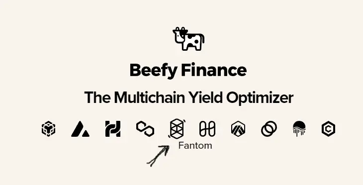 add fantom to metamask