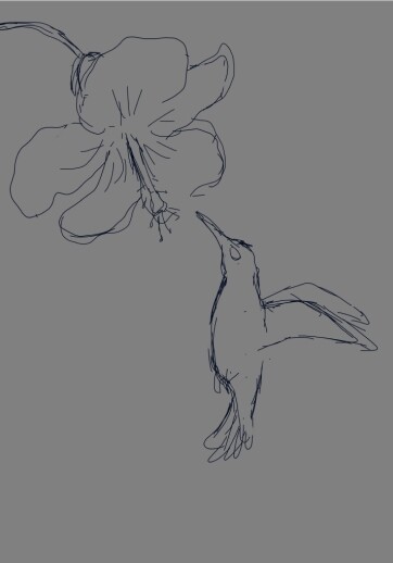 Sketch
