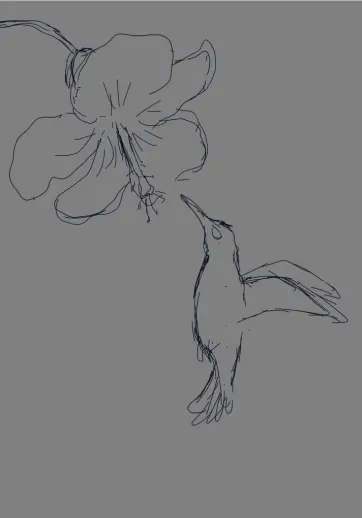 Sketch