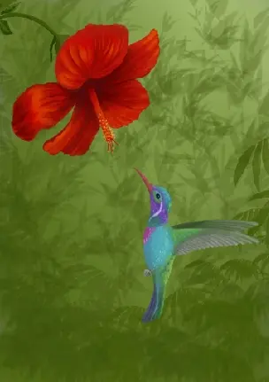 Step 7_Jungle Background