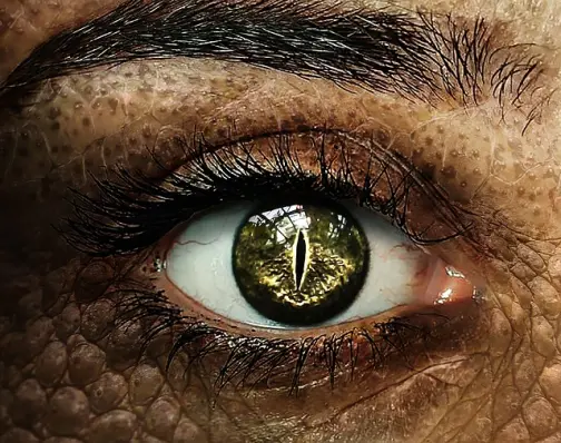 Cerebro Reptiliano