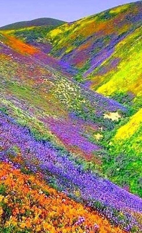 190903265-23e81766c45152f19927474b895bb45f52e1797f1bea3ec287c16e7645887295.jpeg