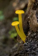 1d497ef9bc9b8c484c036ecf4354c4d6631ffb35adb34ed357d00846d26a4a1f.jpg