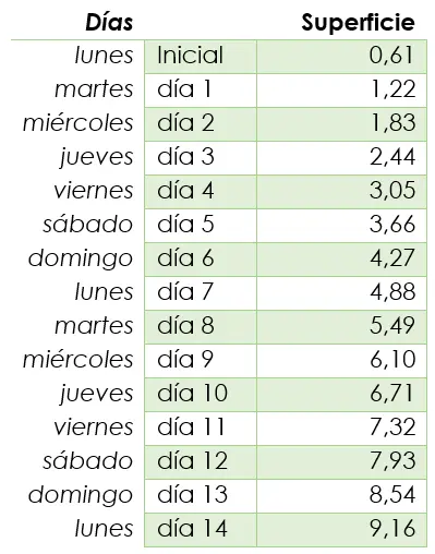 Crecimiento loto aritmético