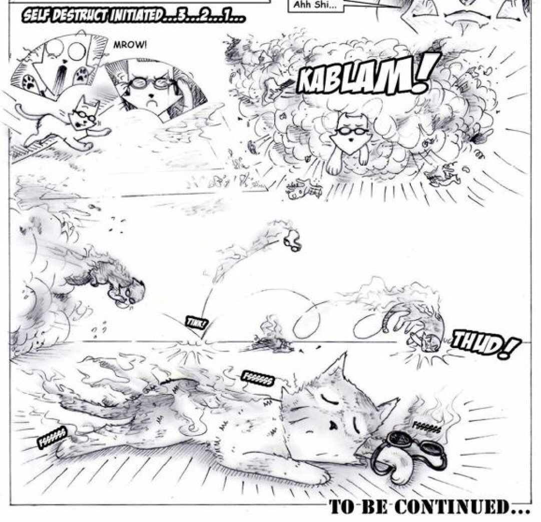 Fe Is injured! Worlds beyond the Grave The Story of Fate - graphic Novel by Jeff Saamanen & Natalie Harvey