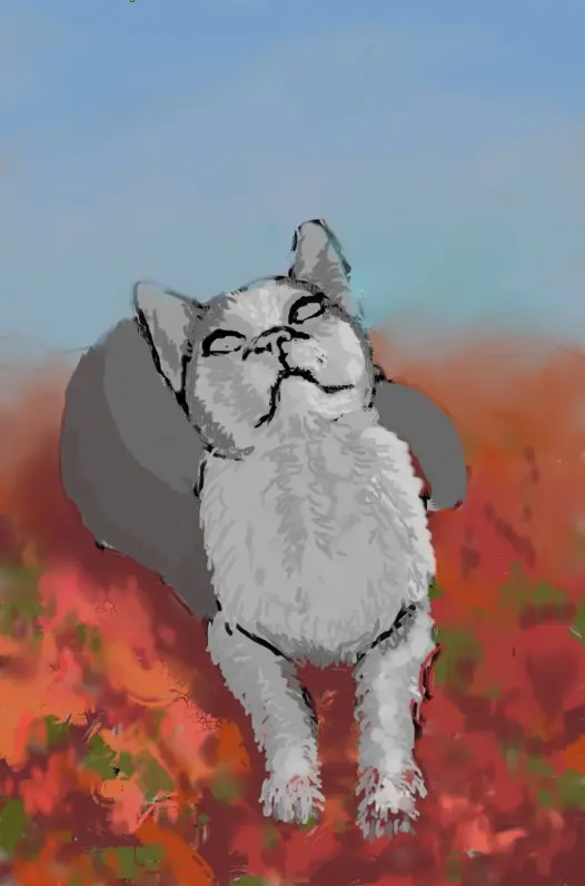 Step 2_Cat colors