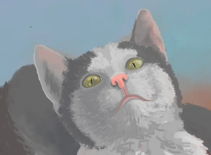 Step 4_Cat close up