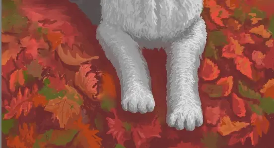 Step 4_Colors of leaves