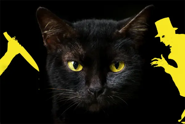 Black Cat in Edgar Allan Poe's novels