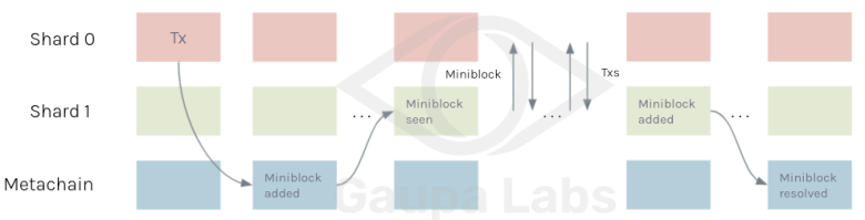 Metachain