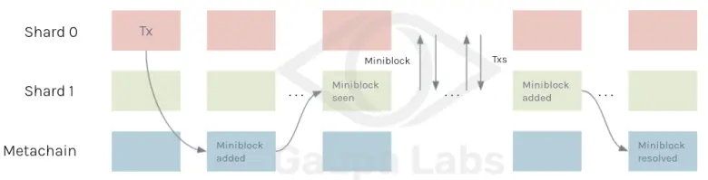 Metachain