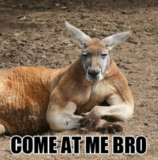 Come At Me Bro Meme