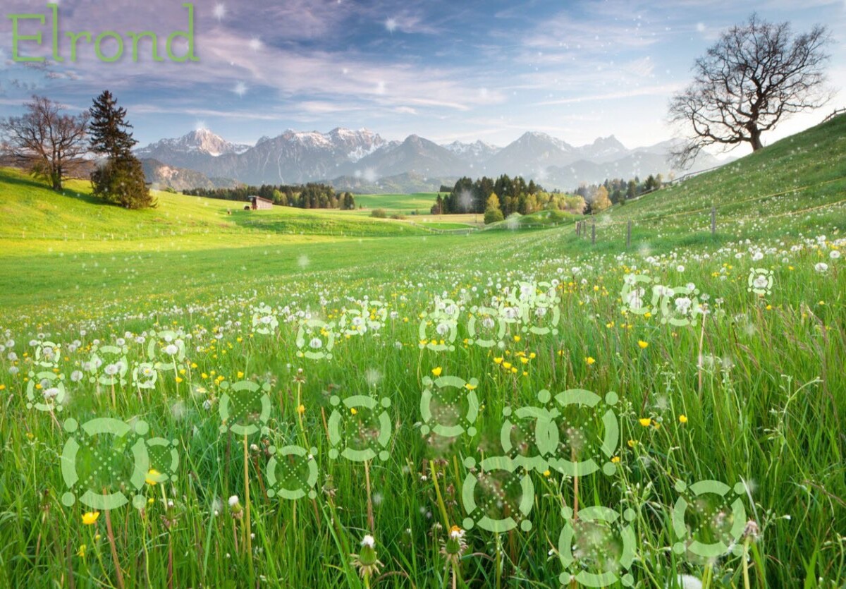 9c4430969f37c40139f523e51305662f31a55852459454f10c4439d7bb336442.jpg