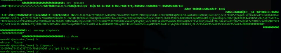 8f56dfeaeb7e58dfea6f583938024c6f86f206799b1a03f77144ba9e4f87a994.png