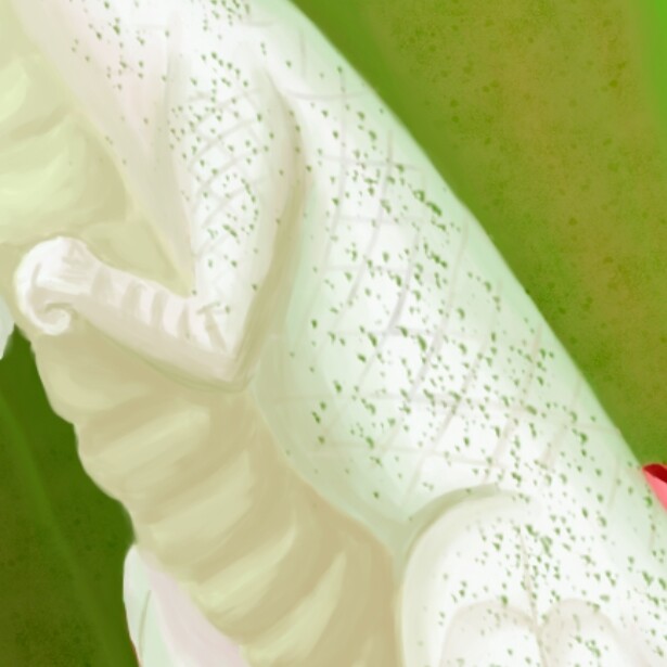 Step_9_Skin texture