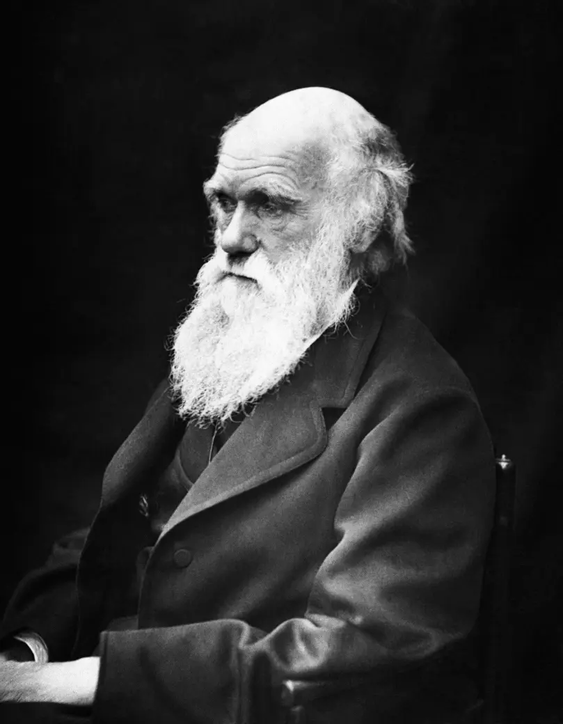 f5af3776e459228d639b72a27469d0d029b1ae4eef2f87c12e00aef45f99c427.jpg